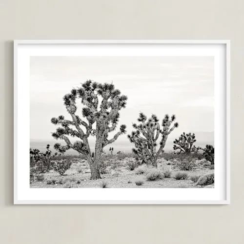 Joshua Tree Limited Edition Fine Art Print