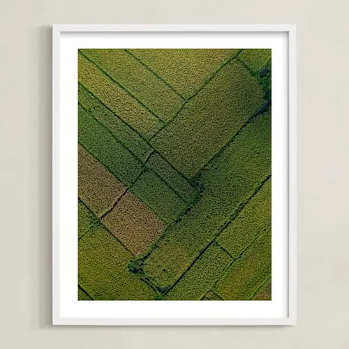 Above The Paddy Limited Edition Fine Art Print