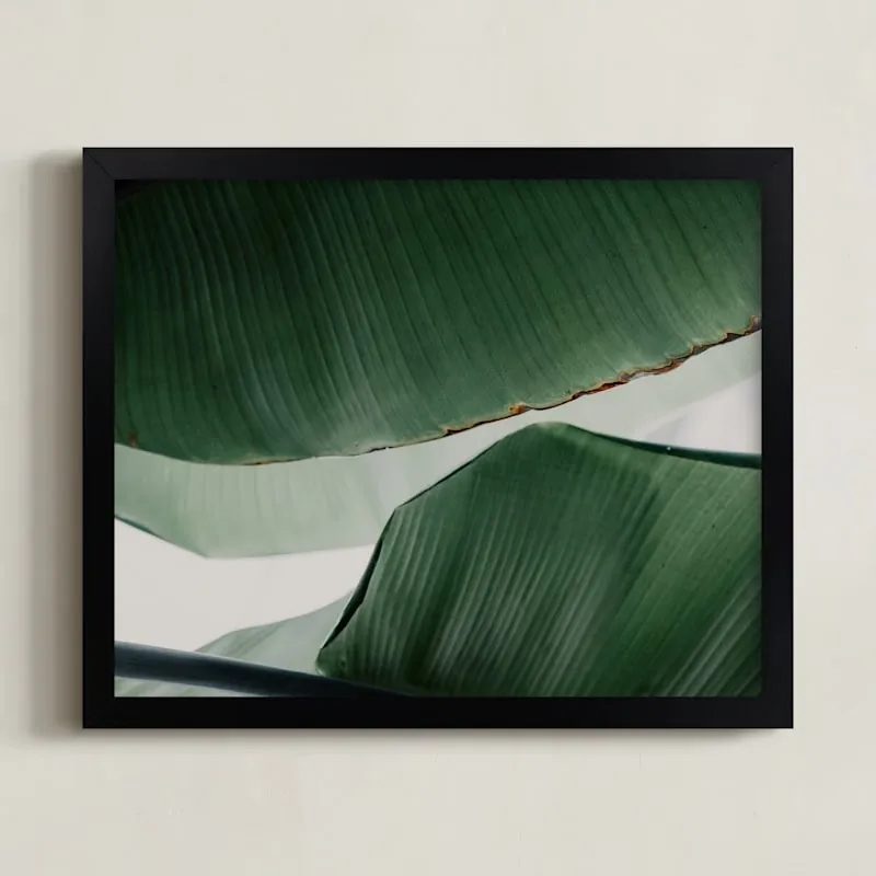 leaf &amp; Light 4 Open Edition Fine Art Print