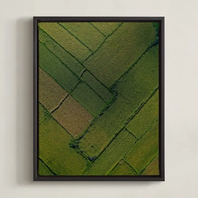 Above The Paddy Limited Edition Fine Art Print