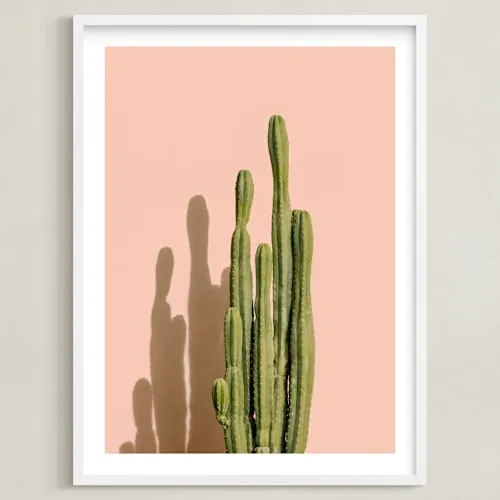 Palm Desert Cactus Open Edition Fine Art Print