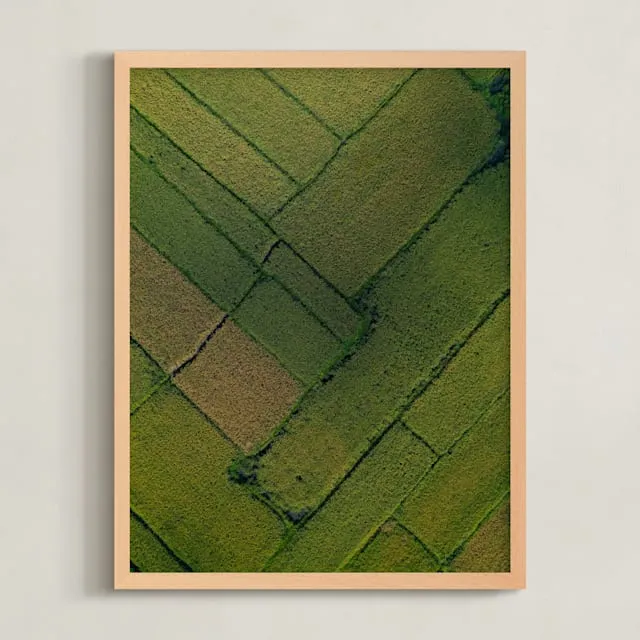 Above The Paddy Limited Edition Fine Art Print