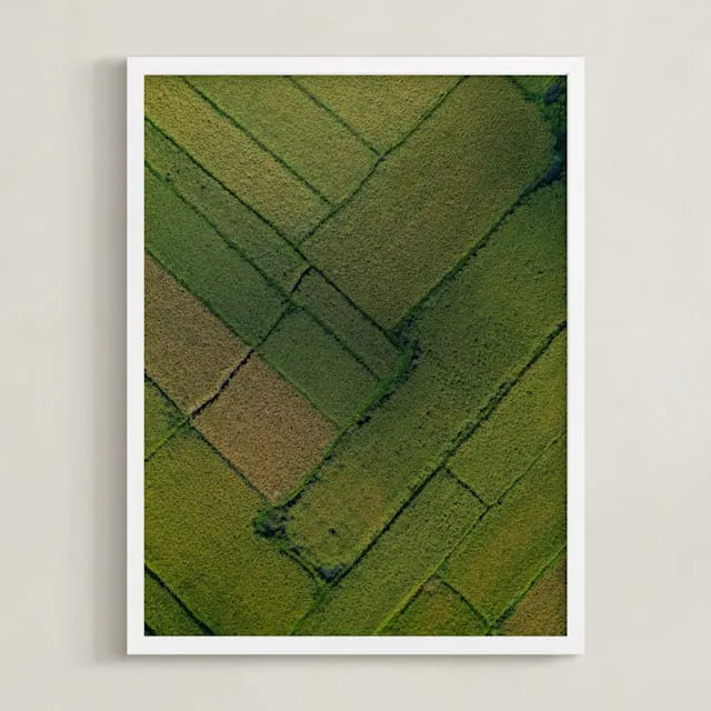 Above The Paddy Limited Edition Fine Art Print