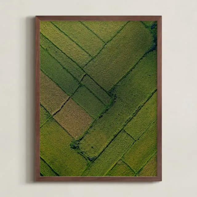 Above The Paddy Limited Edition Fine Art Print