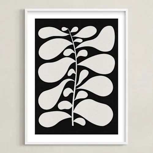 Black Plant II Limited Edition Fine Art Print