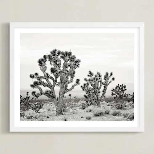 Joshua Tree Limited Edition Fine Art Print