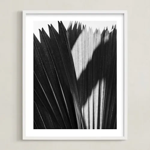 Palmery 2 Limited Edition Fine Art Print