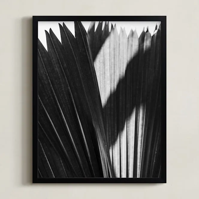 Palmery 2 Limited Edition Fine Art Print