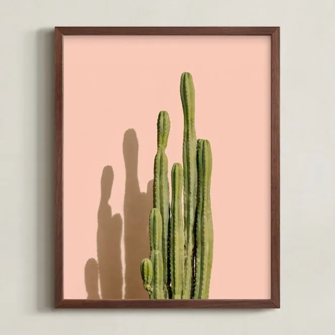 Palm Desert Cactus Open Edition Fine Art Print