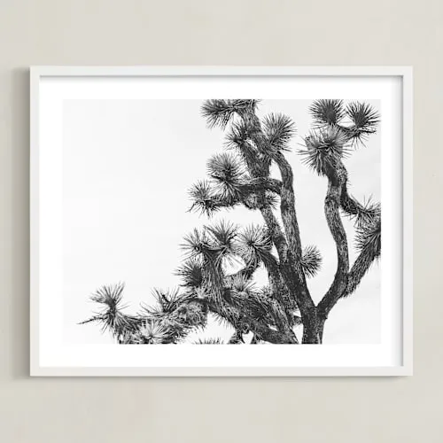 Joshua Tree In September Limited Edition Fine Art Print