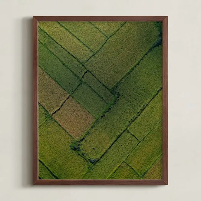 Above The Paddy Limited Edition Fine Art Print