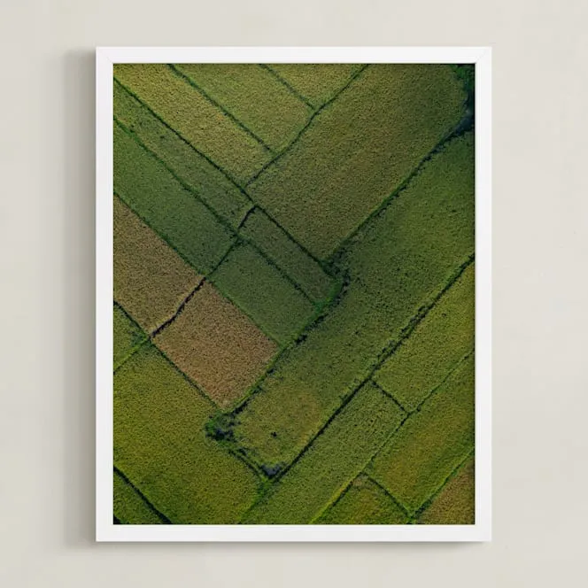 Above The Paddy Limited Edition Fine Art Print