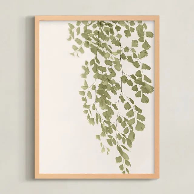 Softness Limited Edition Fine Art Print