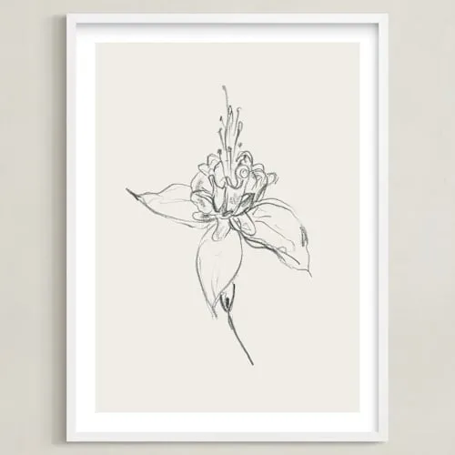 Fuchsia 1 Of 2 Diptych Open Edition Fine Art Print