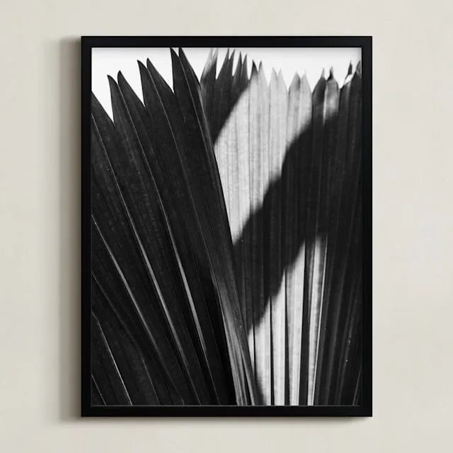 Palmery 2 Limited Edition Fine Art Print