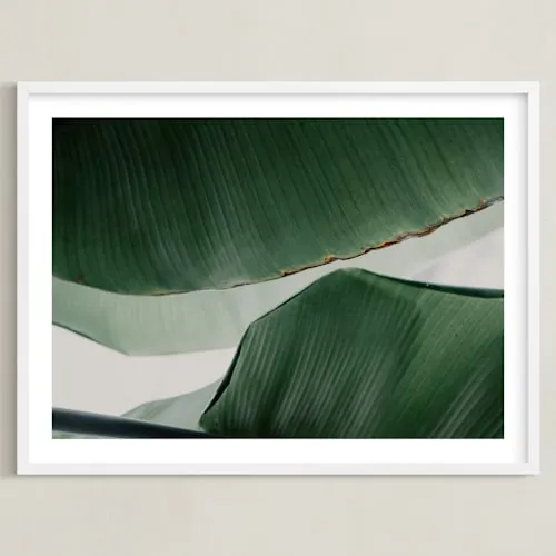 leaf &amp; Light 4 Open Edition Fine Art Print