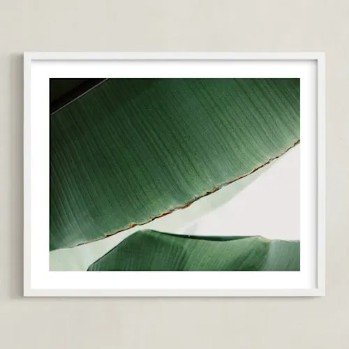 leaf &amp; Light 1 Limited Edition Fine Art Print