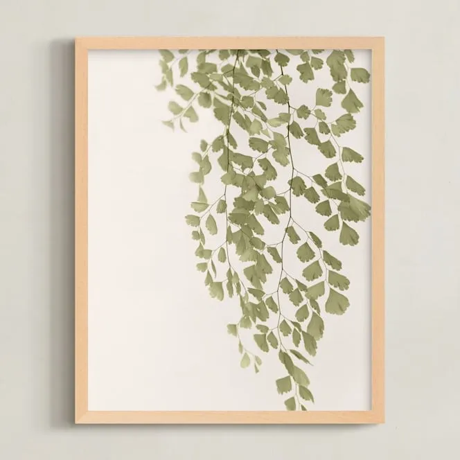 Softness Limited Edition Fine Art Print