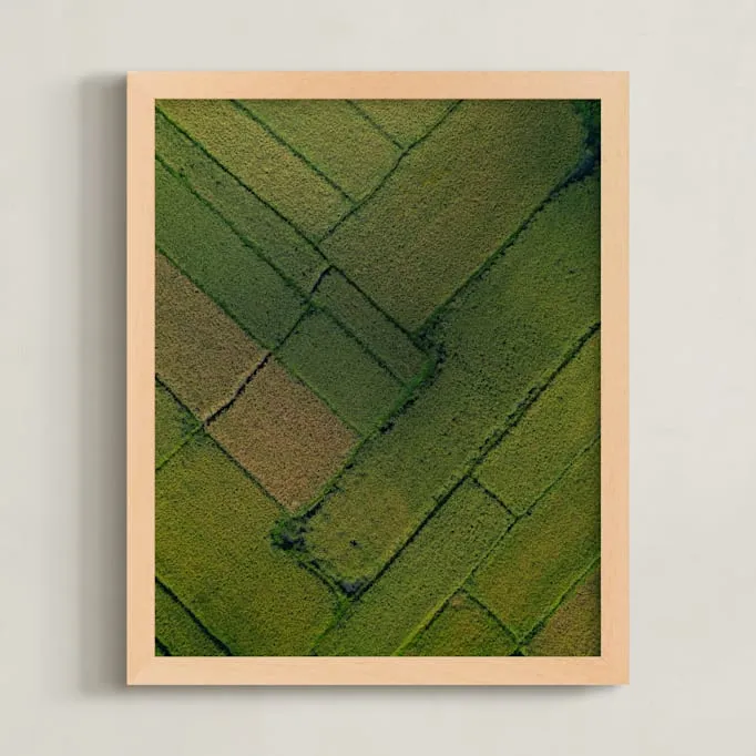 Above The Paddy Limited Edition Fine Art Print