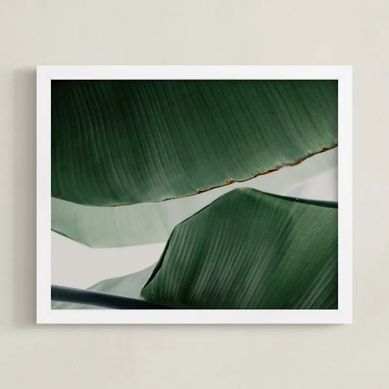 leaf &amp; Light 4 Open Edition Fine Art Print