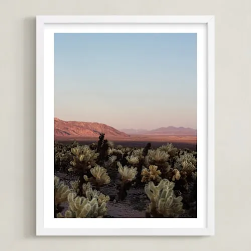 Joshua Tree I Limited Edition Fine Art Print