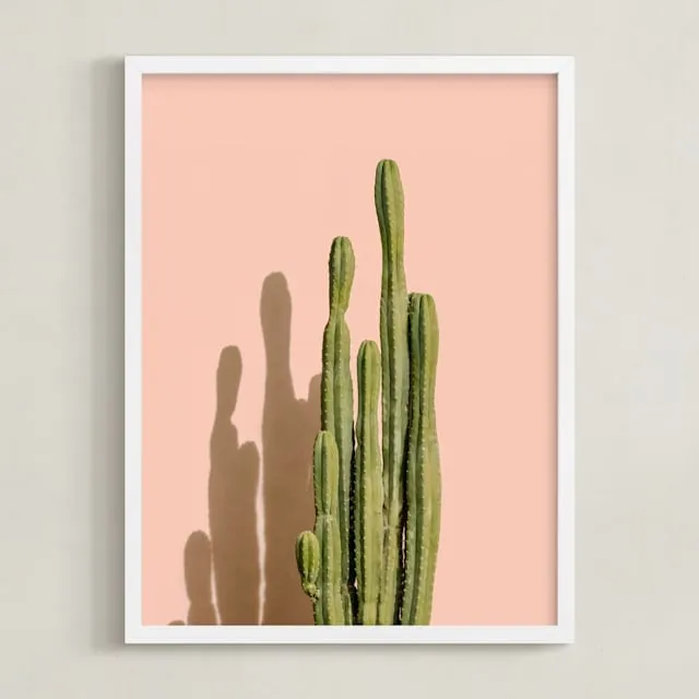 Palm Desert Cactus Open Edition Fine Art Print