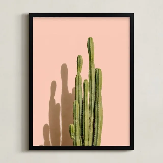 Palm Desert Cactus Open Edition Fine Art Print