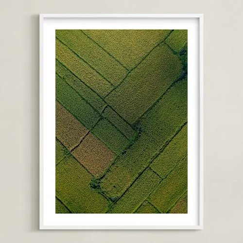 Above The Paddy Limited Edition Fine Art Print