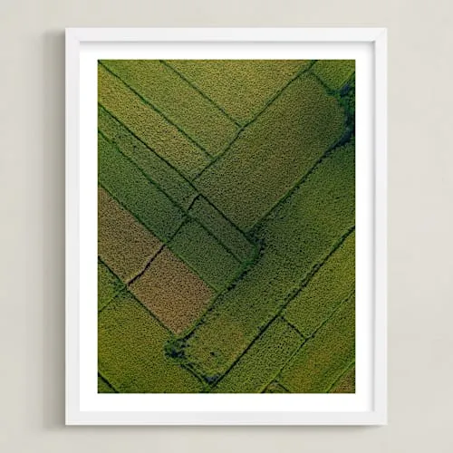 Above The Paddy Limited Edition Fine Art Print