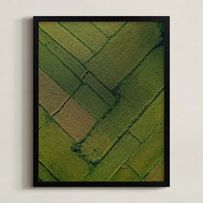 Above The Paddy Limited Edition Fine Art Print