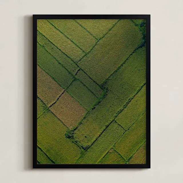 Above The Paddy Limited Edition Fine Art Print