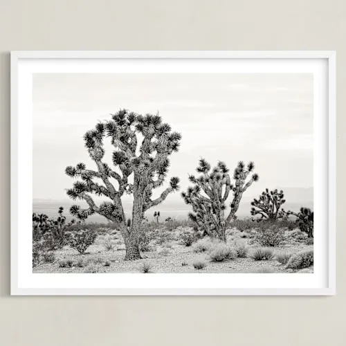 Joshua Tree Limited Edition Fine Art Print