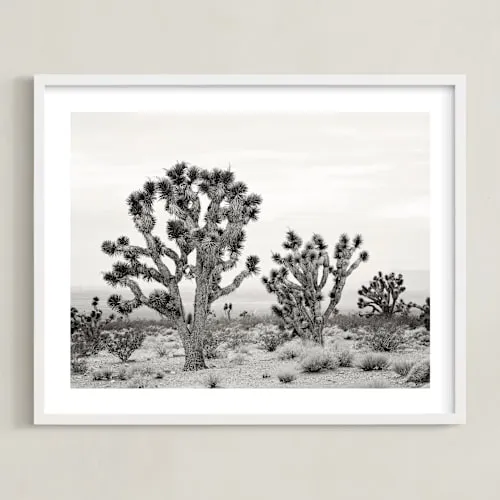 Joshua Tree Limited Edition Fine Art Print