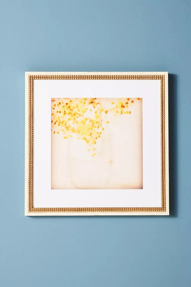 Sweet Mimosa Wall Art