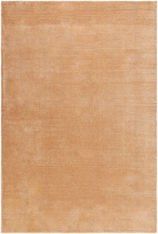 Modest Brown Indoor 6' x 9' Handmade Rug