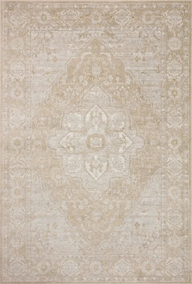ODT-05 Beige / Silver 6'-7" x 9'-6"