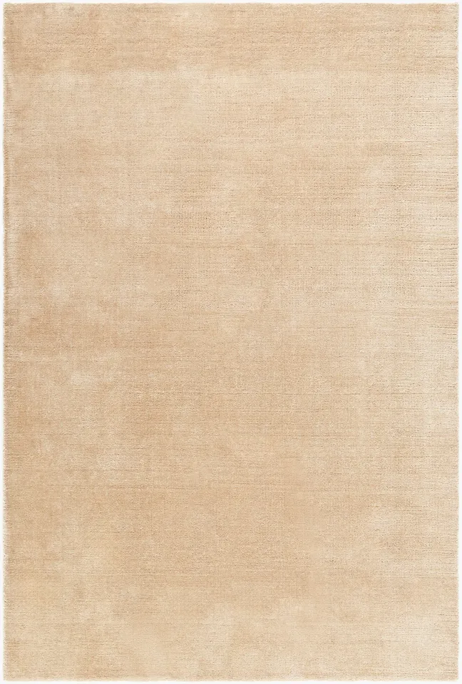 Modest Beige Indoor 6' x 9' Handmade Rug