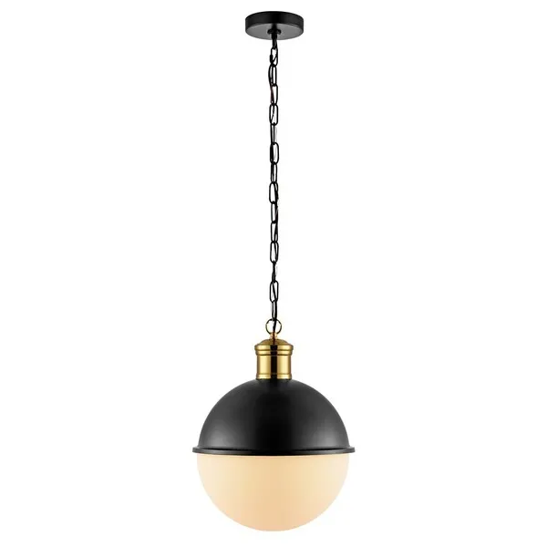 Daylily 12.7 Inch Pendant - Black / Brass