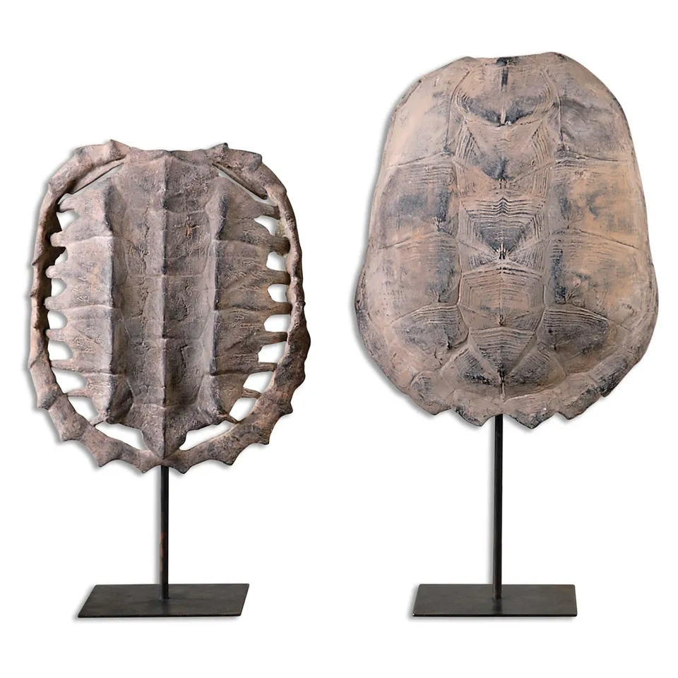 Turtle Shells