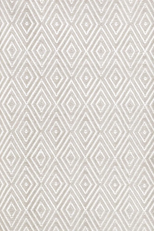 Diamond Platinum/White Indoor/Outdoor Rug -4' x 6'