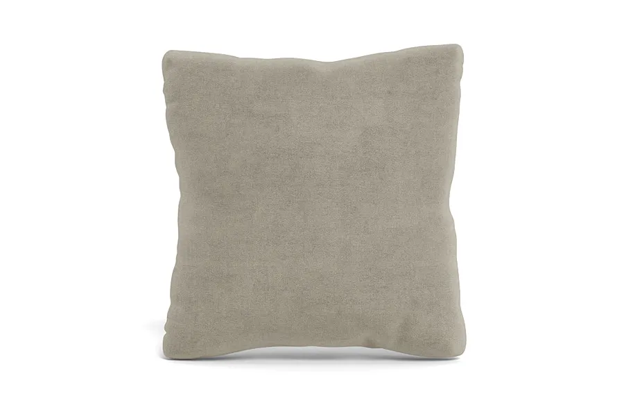 Throw Pillow 20 x 20" Square"
