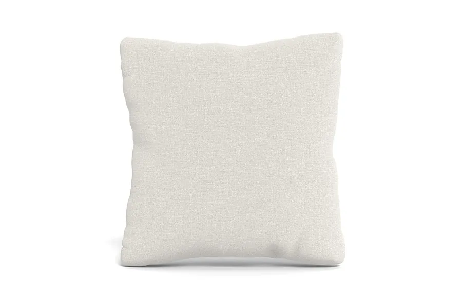 Throw Pillow 20 x 20" Square"