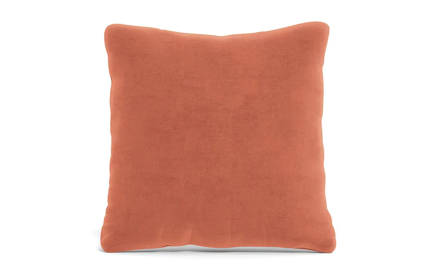 Throw Pillow 22 x 22" Square"