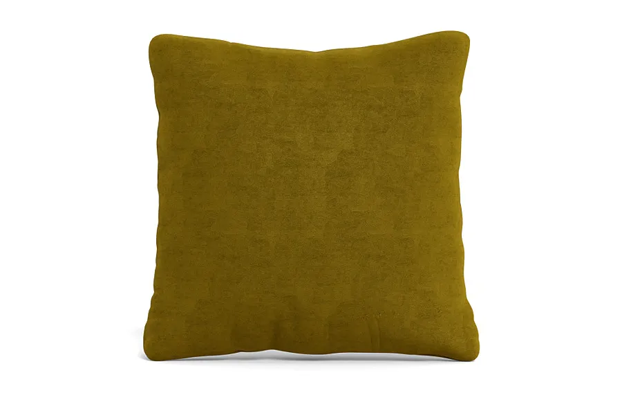 Throw Pillow 22 x 22" Square"