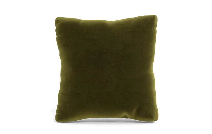 Throw Pillow 20 x 20" Square"