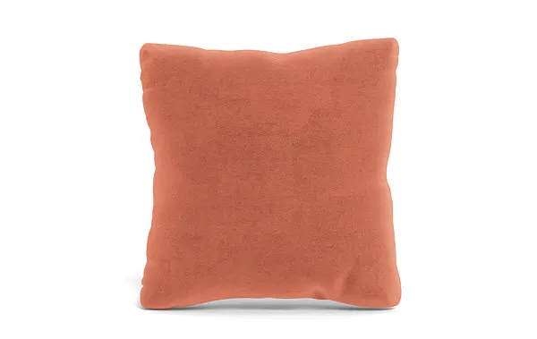 Throw Pillow 20 x 20" Square"