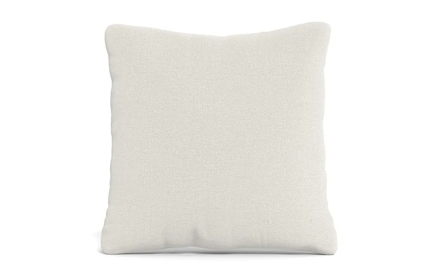 Throw Pillow 22 x 22" Square"