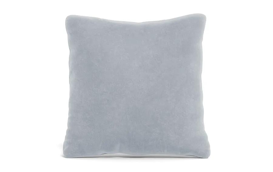 Throw Pillow 22 x 22" Square"