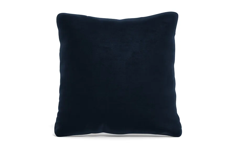 Throw Pillow 22 x 22" Square"