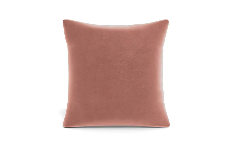 Throw Pillow 24 x 24" Square Pillow"